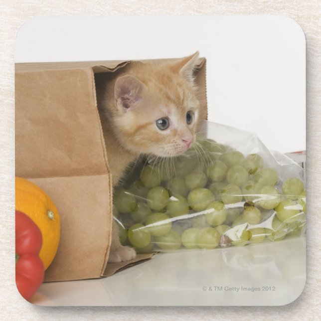 Dessous-de-verre Chaton à l'intérieur de sac d'épicerie (Devant)