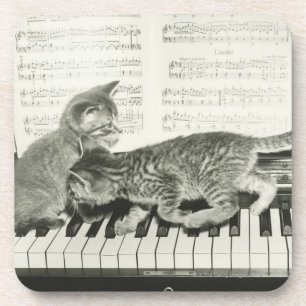 Dessous-de-verre Chaton deux jouant sur le clavier de piano, (B&W)