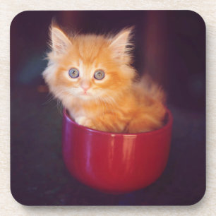 Dessous-de-verre Chaton orange dans une tasse rouge