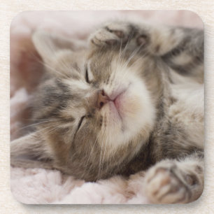 Dessous-de-verre Chaton somnolent