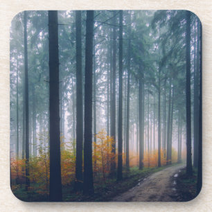 Dessous-de-verre Chemin bordé d'arbres forestiers majestueux