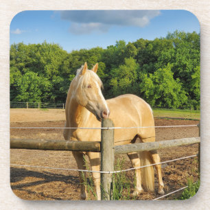 Dessous-de-verre Cheval