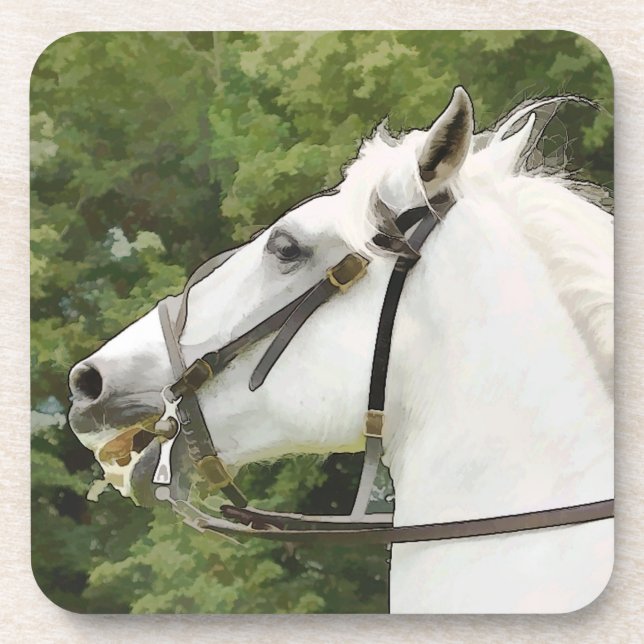 DESSOUS-DE-VERRE CHEVAL (Devant)