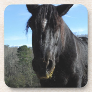 Dessous-de-verre Cheval à bascule noir secouru