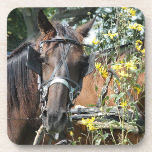 Dessous-de-verre Cheval amish en attente