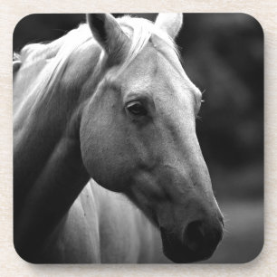 Dessous-de-verre Cheval blanc noir