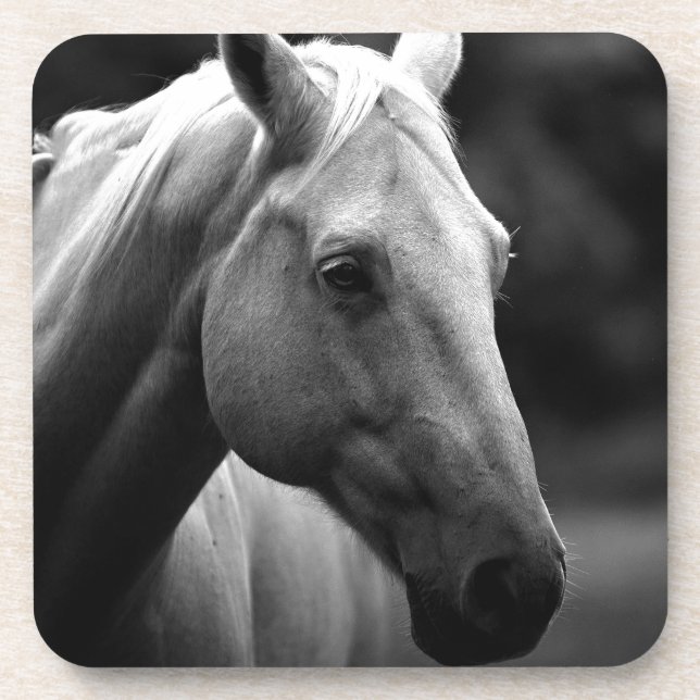 Dessous-de-verre Cheval blanc noir (Devant)