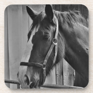 Dessous-de-verre Cheval blanc noir - Art de la photographie animale