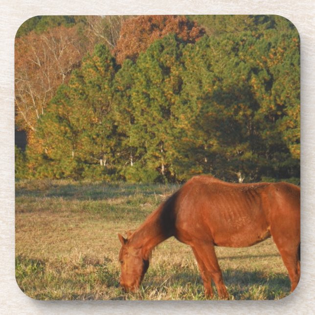 Dessous-de-verre Cheval Brown aux pins (Devant)