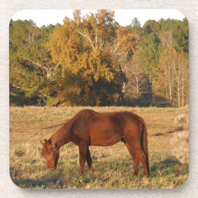 Dessous-de-verre Cheval Brown dans le champ d'arbre jaune (Devant)