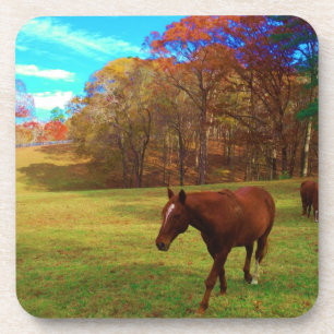 Dessous-de-verre Cheval Brown dans un champ de couleur arc-en-ciel
