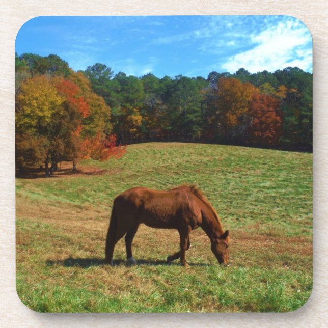 Dessous-de-verre Cheval Brown rouge, arbres de chute, ciel bleu (Devant)