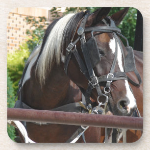 Dessous-de-verre Cheval Buggy Bay Pinto Amish