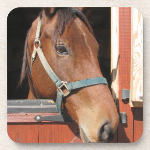 Dessous-de-verre Cheval dans la grange