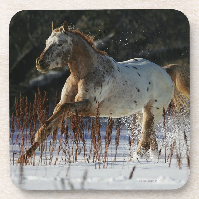 Dessous-de-verre Cheval d'Appaloosa fonctionnant dans la neige (Devant)