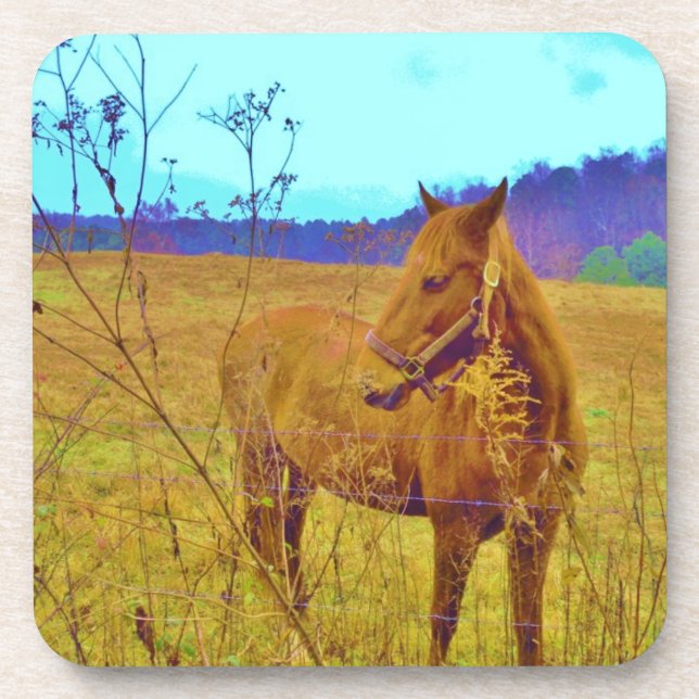 Dessous-de-verre Cheval de couleur rétro (Devant)