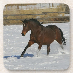 Dessous-de-verre Cheval de pur sang fonctionnant dans la neige