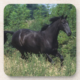 Dessous-de-verre Cheval de pur sang fonctionnant dans l'herbe