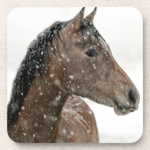 Dessous-de-verre Cheval en hiver