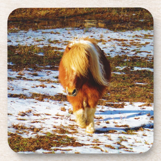 Dessous-de-verre Cheval miniature Brown et crème dans la neige. (Devant)
