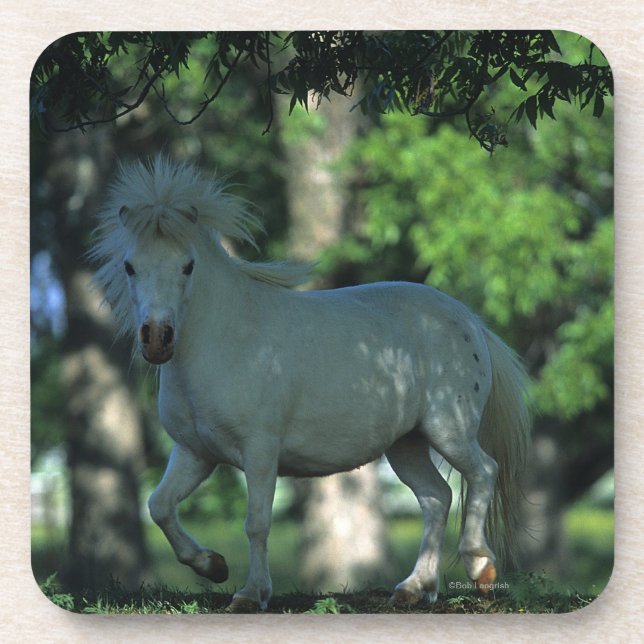 Dessous-de-verre Cheval miniature se tenant dans les arbres (Devant)