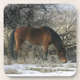 Dessous-de-verre Cheval sauvage de mustang dans la neige 1