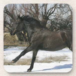 Dessous-de-verre Cheval sauvage de mustang dans la neige 2