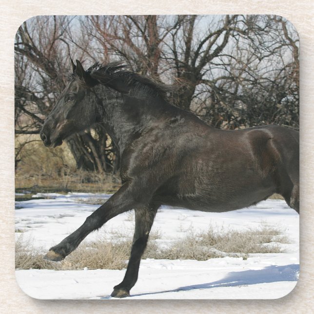 Dessous-de-verre Cheval sauvage de mustang dans la neige 2 (Devant)