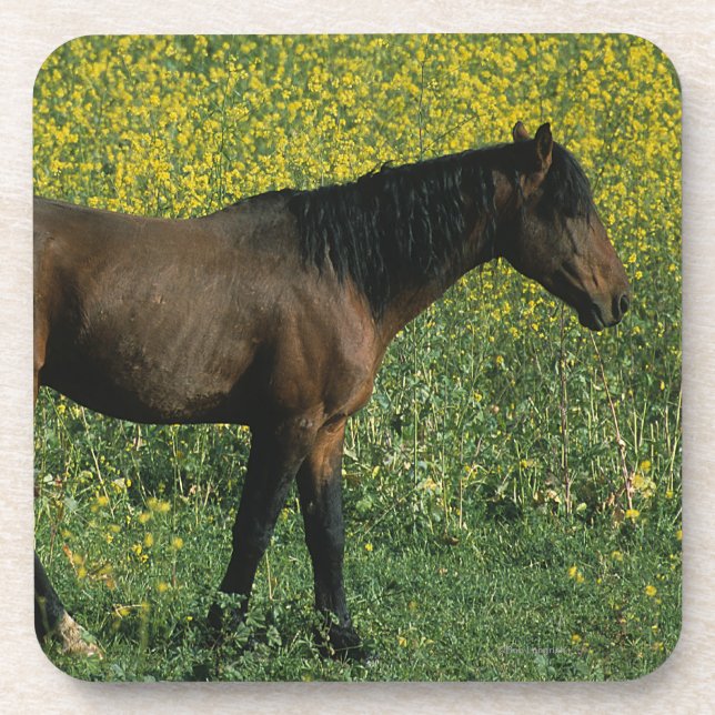 Dessous-de-verre Cheval sauvage de mustang se tenant en fleurs (Devant)