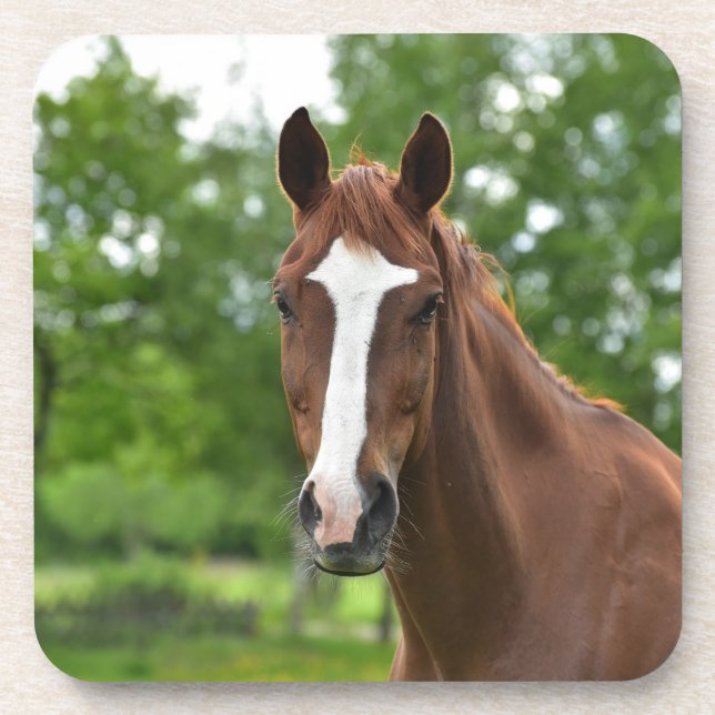 Dessous-de-verre Cheval Visage Avec Marquage (Devant)