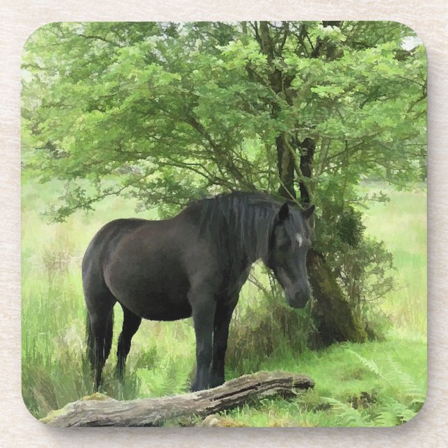 DESSOUS-DE-VERRE CHEVAUX (Devant)