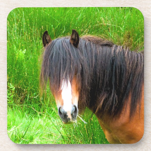 DESSOUS-DE-VERRE CHEVAUX (Devant)