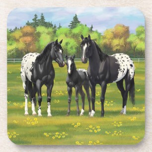 Dessous-de-verre Chevaux Appaloosa Noir Dans Les Pâturages D'Été