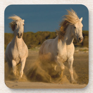 Dessous-de-verre Chevaux blancs fonctionnant sur la plage  