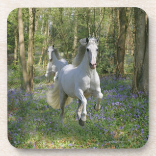 Dessous-de-verre Chevaux d'imaginaire : Bois de jacinthe des bois