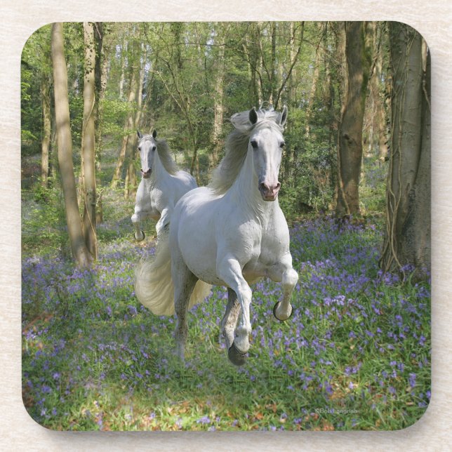 Dessous-de-verre Chevaux d'imaginaire : Bois de jacinthe des bois (Devant)