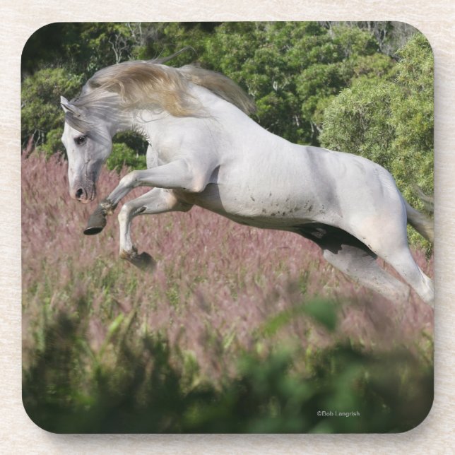 Dessous-de-verre Chevaux d'imaginaire : Galop de ressort (Devant)