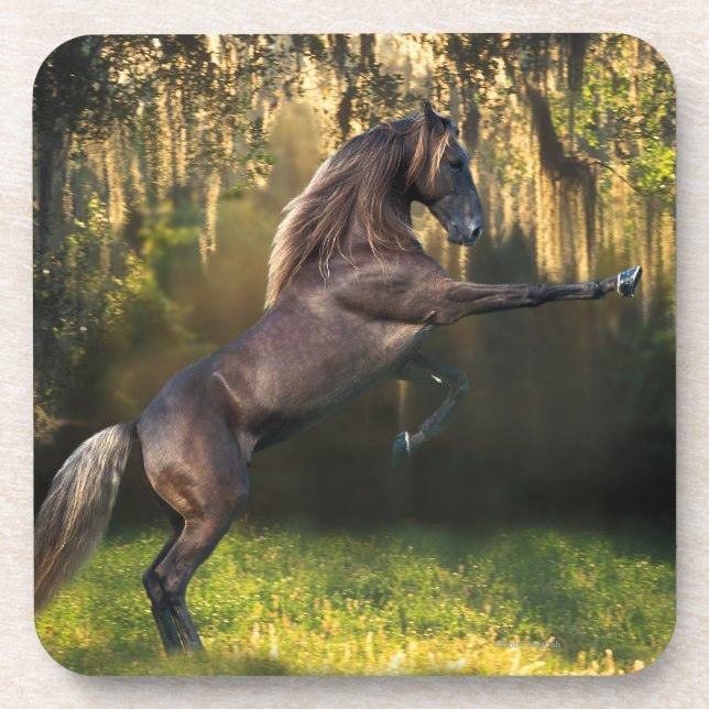 Dessous-de-verre Chevaux d'imaginaire : Prince de guerrier (Devant)