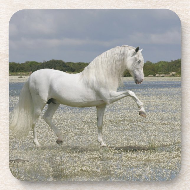 Dessous-de-verre Chevaux d'imaginaire : Seigneur du lac (Devant)