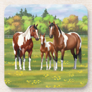 Dessous-de-verre Chevaux Du Quartier De Peinture De Baie Pinto En P