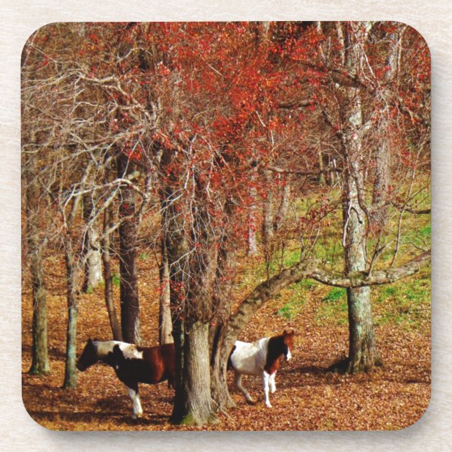Dessous-de-verre Chevaux jumeaux Brown et blancs (Devant)