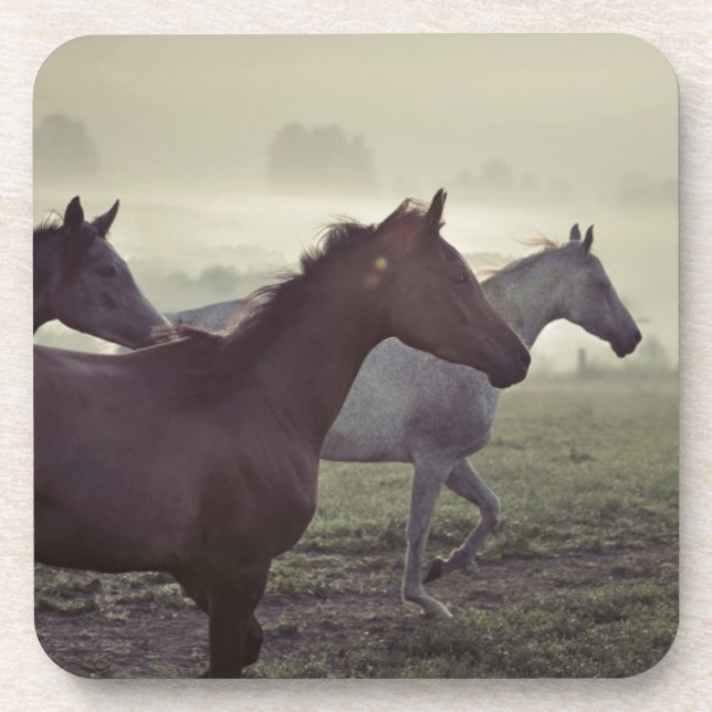Dessous-de-verre Chevaux sauvages (Devant)