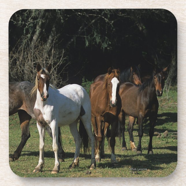 Dessous-de-verre Chevaux sauvages 1 de mustang (Devant)