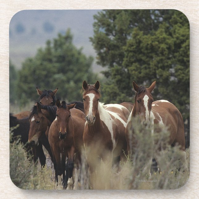 Dessous-de-verre Chevaux sauvages 2 de mustang (Devant)