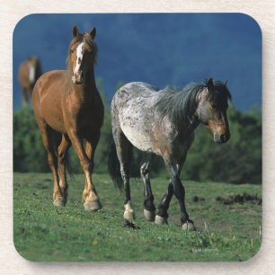 Dessous-de-verre Chevaux sauvages de mustang