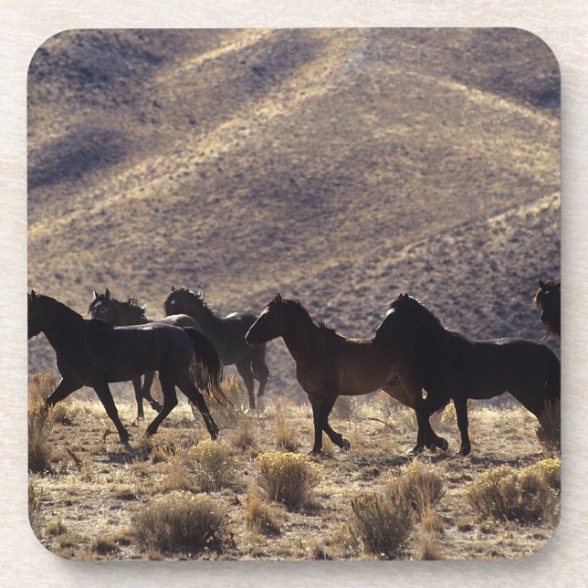 Dessous-de-verre Chevaux sauvages de mustang dans le désert 1 (Devant)