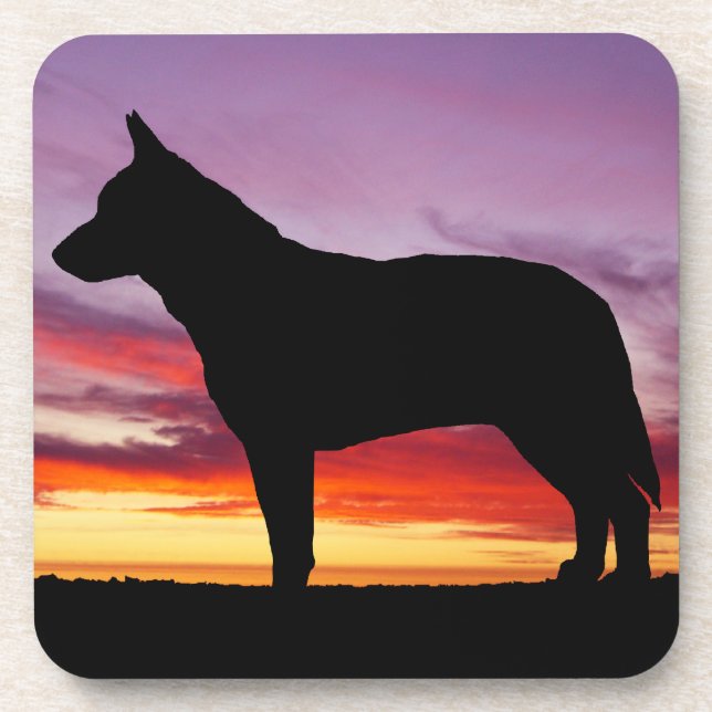 Dessous-de-verre Chien australien de bétail (Devant)