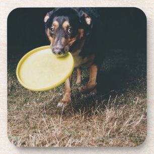 Dessous-de-verre Chien avec le frisbee dans la bouche