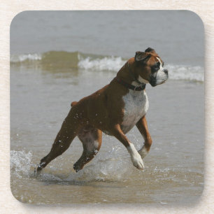 Dessous-de-verre Chien de boxeur dans l'eau