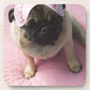 Dessous-de-verre Chien de carlin avec le masque d'oeil sur la tête